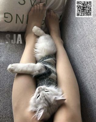 性欧美vdeosgrgtis孕妇_BD国语手机免费观看完整