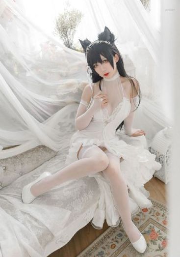 欧美人禽杂交另类_1080P迅雷高清下载